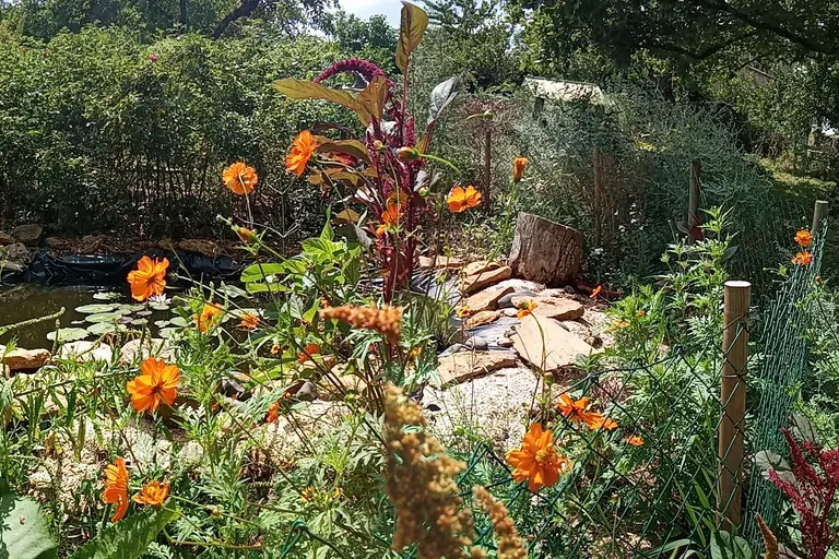 Visite et exposition « Vision colorée » au Jardin des plantes à couleurs à Essertines-en-Donzy