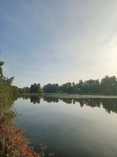 Chemin du Gourd à Feurs