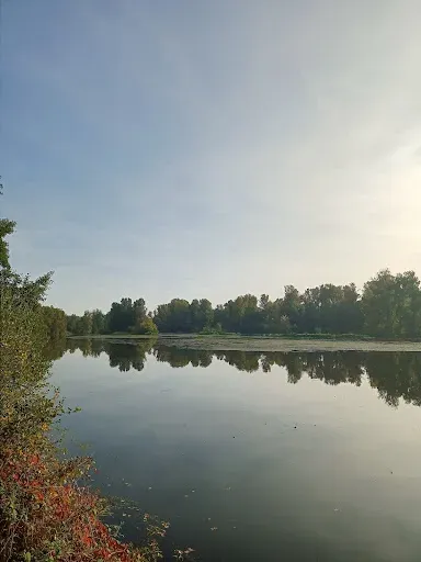 Chemin du Gourd à Feurs