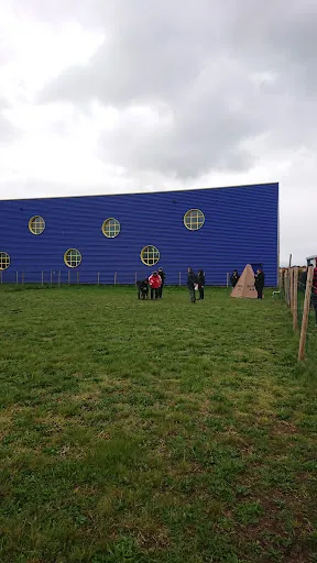 Club des Amis du Chien du Forez - CACDF à Feurs