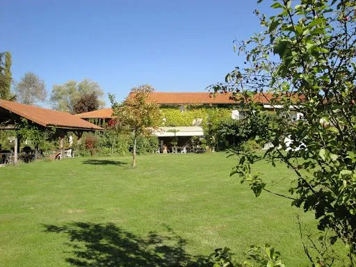 Domaine de la Cotonne à Feurs