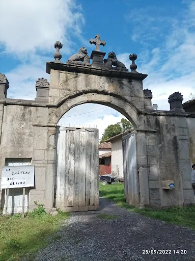 Le Château des Olivier à Feurs