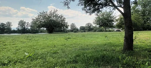 Parc de la Loire à Feurs