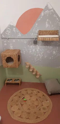 Pension pour chats - Le Palais de Nerté à Feurs