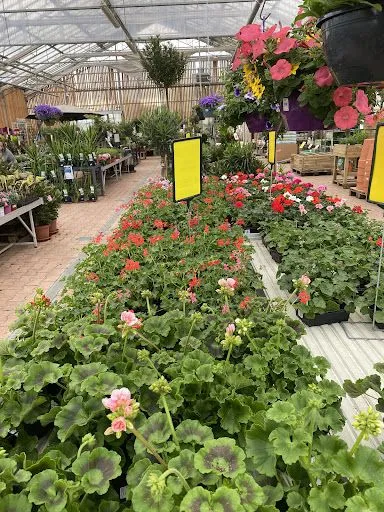 Pépinières Vial à Feurs